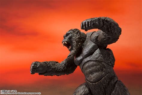 Shmonsterarts Kong De Godzilla Vs Kong 2021 Tamashii Web