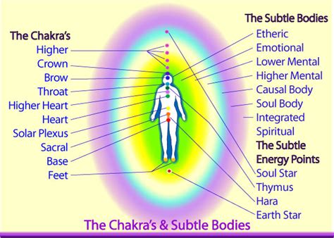 The Human Energy System Your Aura Chakras And Subtle Bodies