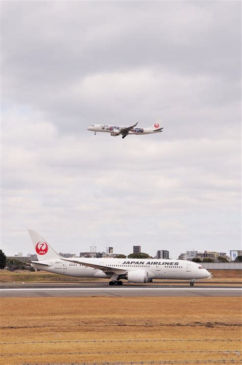 機体記号 Ja847j Jal 航空機体ガイド Flyteamフライチーム