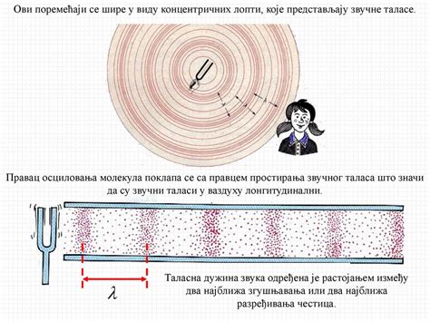 Звук и ултразвук. - ppt indir