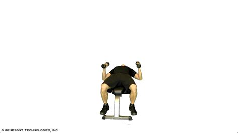 Tricep Exercise: Dumbbell Triceps Press Exercise - YouTube