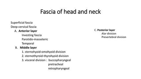 Fascial Spaces In The Head And Neck Ppt