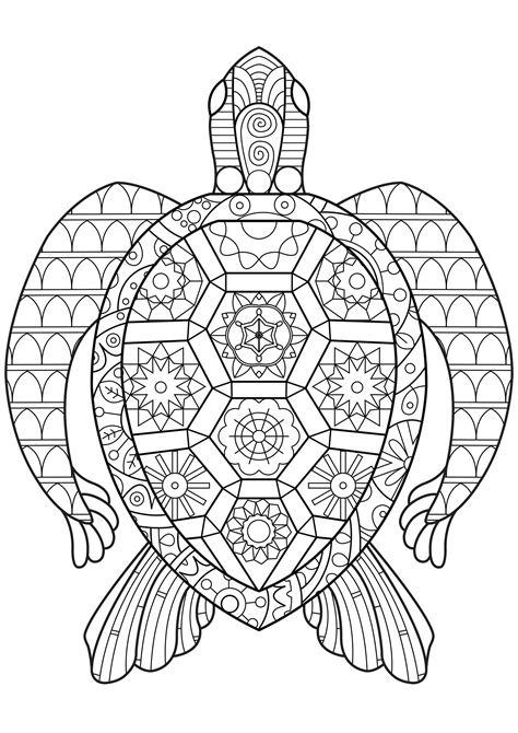 Tortue Zen Coloriages de Tortues à imprimer pour adultes