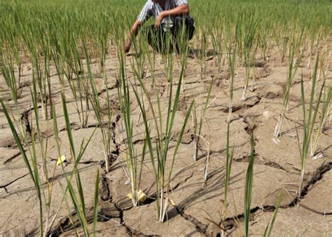 Comenzó El Fenómeno El Niño A Nivel Global Que Traerá Calor Extremo