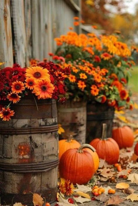 Pin By Jeanette Key Saicheck On I Fall In Fall Outdoor Decor