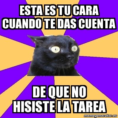 Meme Anxiety Cat Esta Es Tu Cara Cuando Te Das Cuenta De Que No