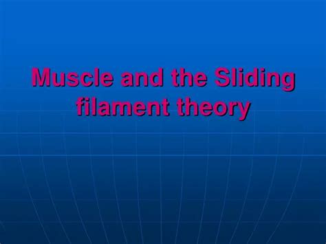 Ppt Muscle And The Sliding Filament Theory Powerpoint Presentation