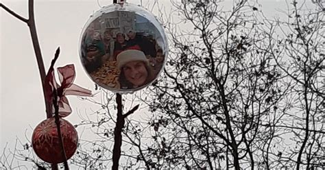 L Albero Di Natale Di Sara Pedri La Sorella Invita Ad Addobbarlo