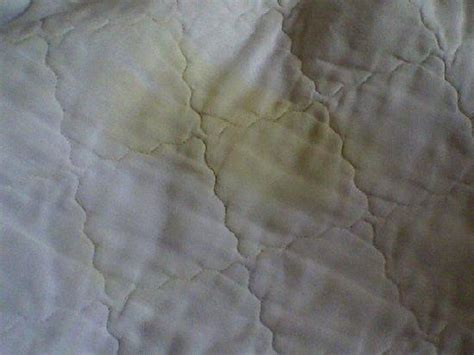 Urine Stain Picture Of Drury Inn Marion Marion Tripadvisor