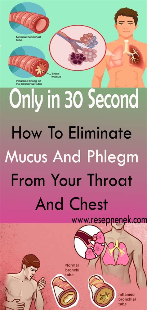 How To Eliminate Mucus And Phlegm From Your Throat And Chest Instant