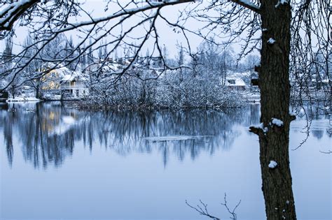 Banco De Imagens Panorama árvore Agua Natureza Ramo Neve Frio