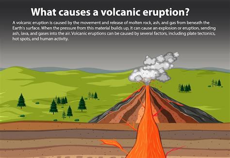 Quelles Sont Les Causes D Une Ruption Volcanique Vecteur Gratuite