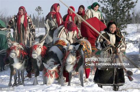 240 Nenets Culture Stock Photos, High-Res Pictures, and Images - Getty ...