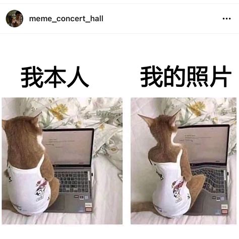 NO 300每日梗图 memes 哔哩哔哩