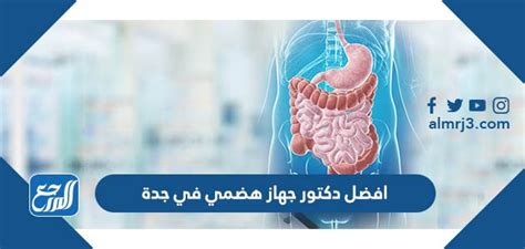 افضل دكتور جهاز هضمي في جدة موقع المرجع