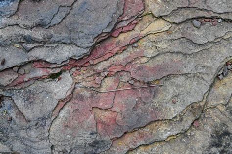 Closeup Of Shale Rock Stock Photo Image Of Metamorphic 270405166