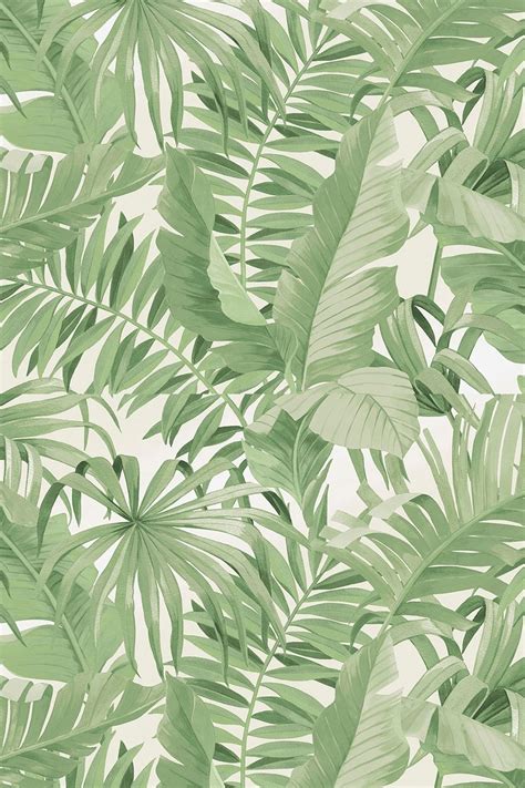 Pastel Green Mint Green Aesthetic Wallpaper Plants Design Daritinha