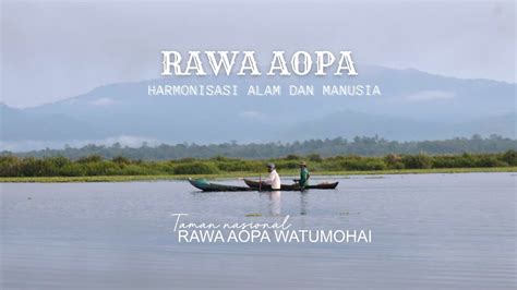 Rawa Aopa Harmonisasi Alam Dan Manusia YouTube