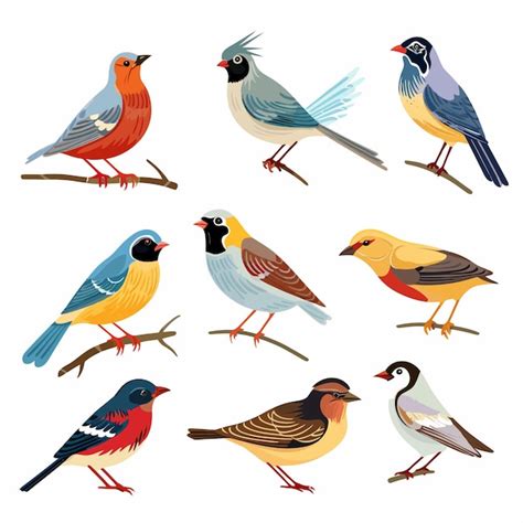 Colección de diferentes tipos de aves Vector Premium