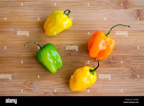 Scotch Bonnet Peppers Stock Photo Alamy