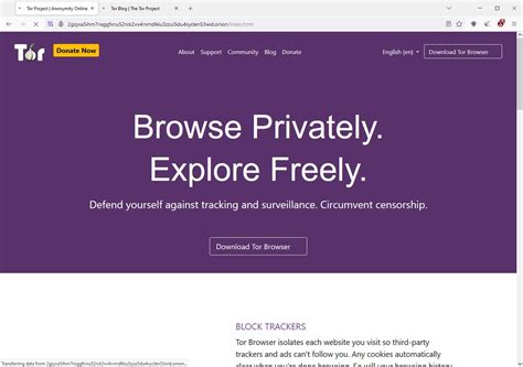 Ways To Access Onion Sites Without Tor Browser