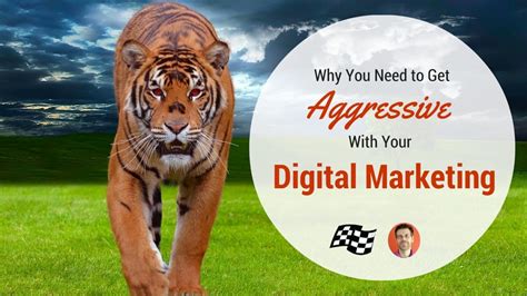 Aggressive Digital Marketing Builds Authority Stoney Degeyter