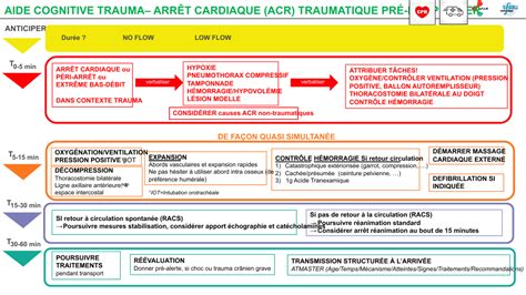 Traumatisme Grave Prise En Charge Extra Hospitali Re Aide Cognitive