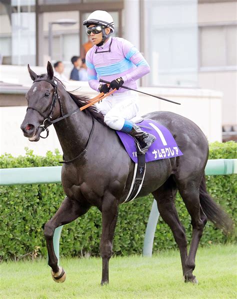 【注目馬動向】スプリンターズs3着のナムラクレアは京都牝馬sか阪急杯から高松宮記念目指す ライブドアニュース