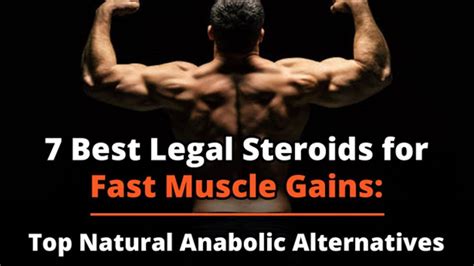 Best Legal Steroids For Fast Muscle Gains Top Natural Anabolic