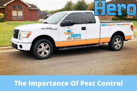 The Importance Of Pest Control For A Healthy Home