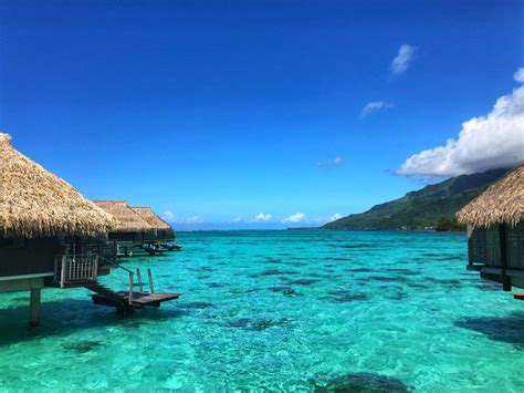 Island Vibes 15 Epic Things To Do In Moorea Island Vibes Moorea