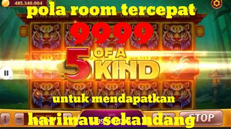 HIGH DOMINO ISLAND II AKHIRNYA MACAN TUTUL PANDA TERTANGKAP Room Panda