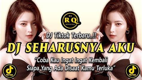 DJ SEHARUSNYA AKU COBA KAU INGAT INGAT KEMBALI SIAPA YANG ADA DISAAT