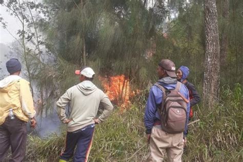 9 Hektare Hutan Lereng Gunung Lawu Ludes Terbakar Pemadaman Masih