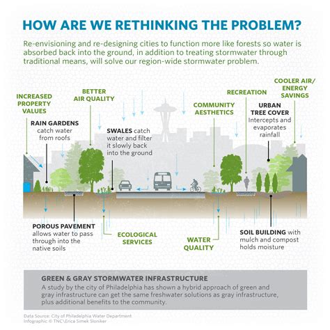 Green Infrastructure What Is It The Nature Conservancy In Washington