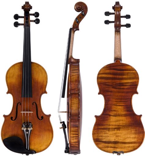 Violin Bow Hair at Best Price in Luoyang, Henan | Flora International ...