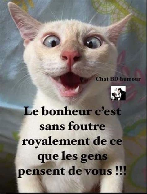 Le Bonheur C Est Sans Foutre Royalement De Ce Que Les Gens Pensent De