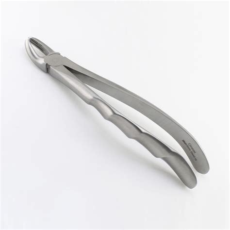 Upper Molar Dental Extraction Forceps Orvosi Instruments English