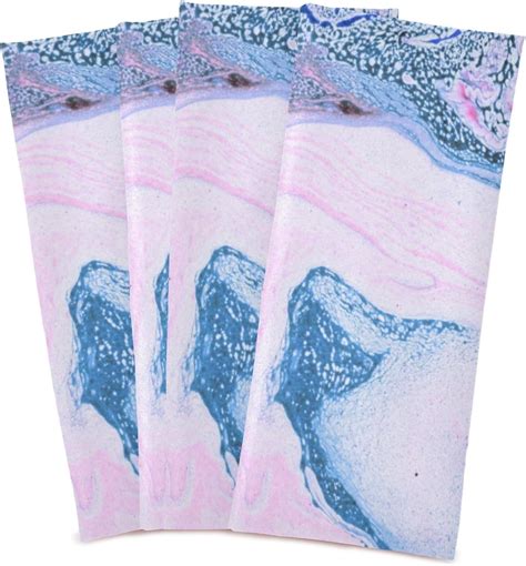 Dreamtimes Purple Blue Marble Splash Kitchen Towel Dish Towels Quick