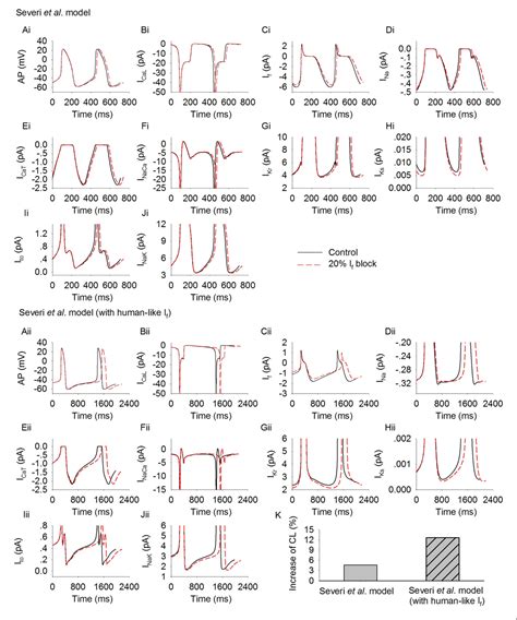 Figure 3 From The Functional Role Of Hyperpolarization Activated