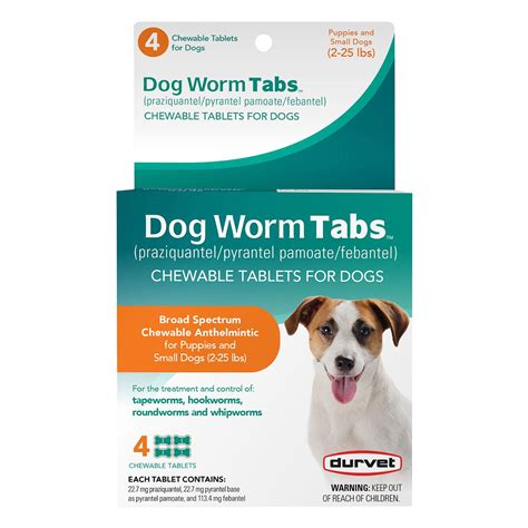 Dog Tapeworm Treatment