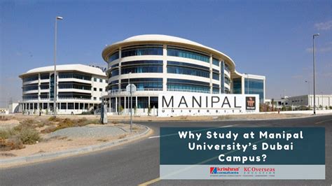 Why Study At Manipal Universitys Dubai Campus Masters In Business