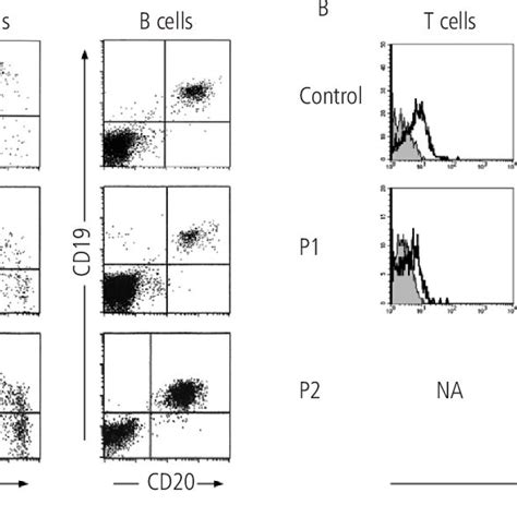 Figure A Immunophenotyping Of Lymphocyte Subsets B Analysis Of C Download Scientific