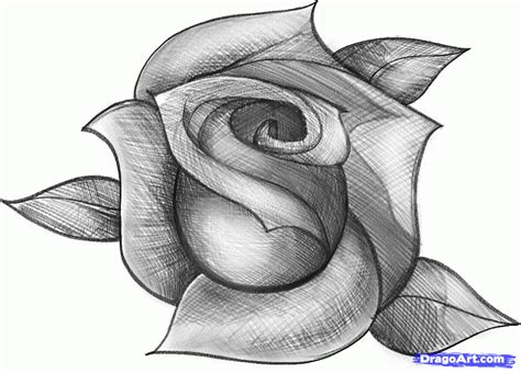 Paso 1 La Forma Más Fácil Para Empezar A Dibujar Una Rosa Es Hacer Un Estilo S De Lujo Que