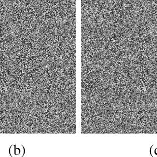 (a) original Lena(256 × 256) image; (b) the encrypted Lena image using ...
