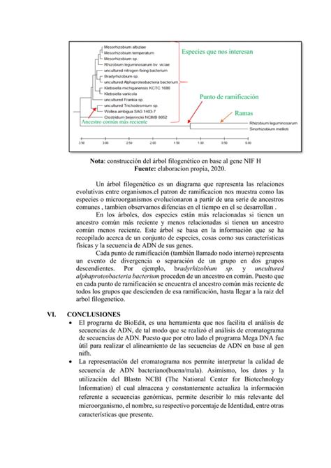 BIOINFORMATICA CALIDAD Y ALINEAMIENTO DE SECUENCIA DE ADN Y