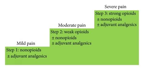 Who’s Cancer Pain Relief Ladder For Adults Download Scientific Diagram