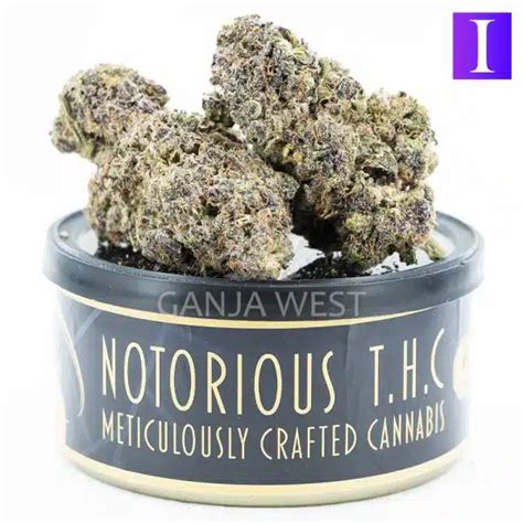 Notorious THC Craft Ghost OG X Cherry Puff 7 Grams Ganja West