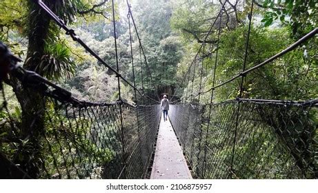 483 Gunung Gede Pangrango Images, Stock Photos & Vectors | Shutterstock