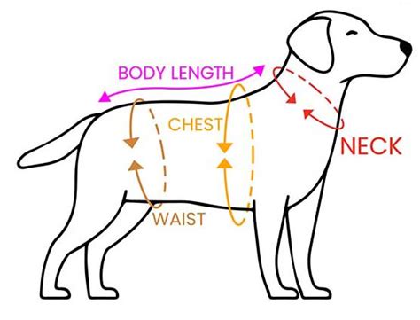 Dog Clothes Size Chart By Weight Dog Chart Size Clothing Siz